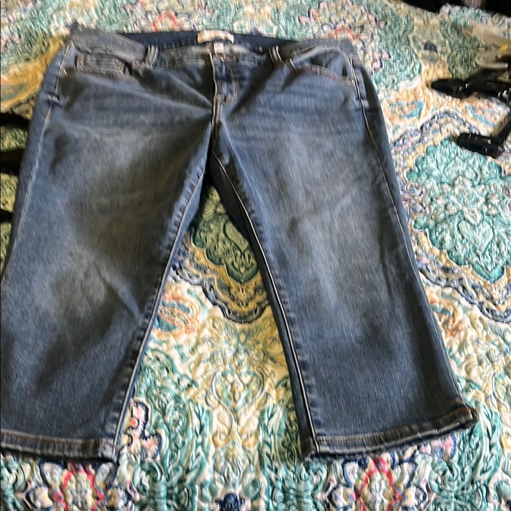 Lane Bryant Blue Straight Leg Jeans